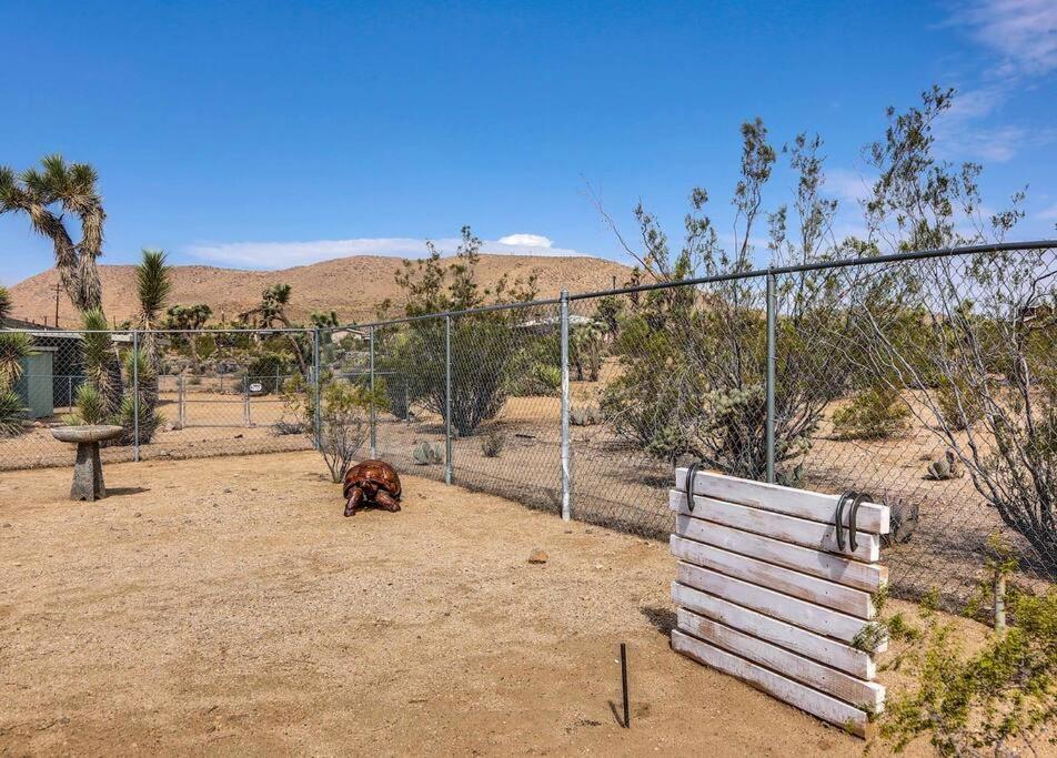 Jt Cottage Yucca Valley Εξωτερικό φωτογραφία