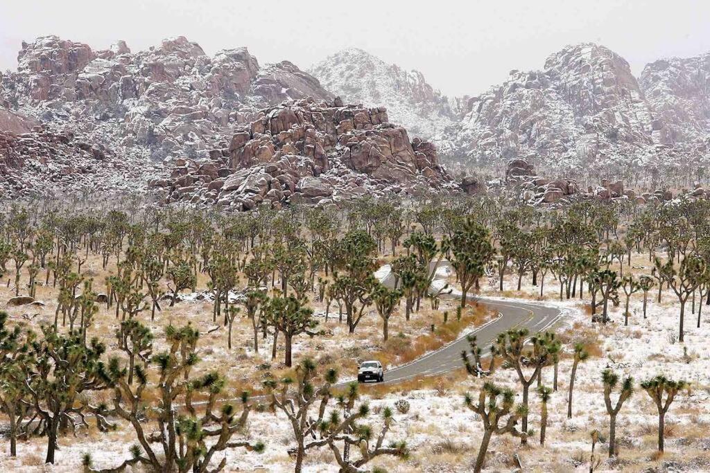 Jt Cottage Yucca Valley Εξωτερικό φωτογραφία